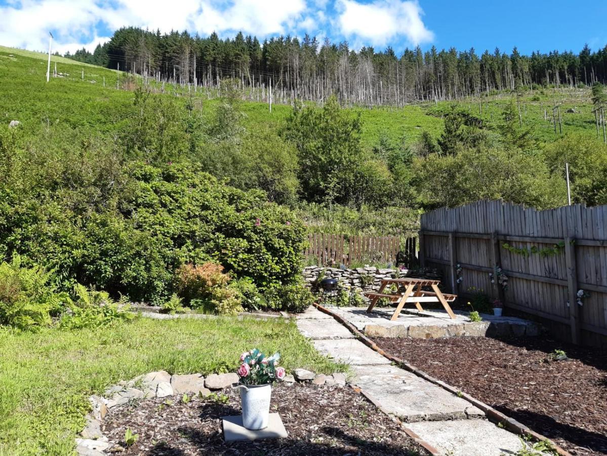 Afan Valley Home - Contractor Accommodation Port Talbot Exterior foto